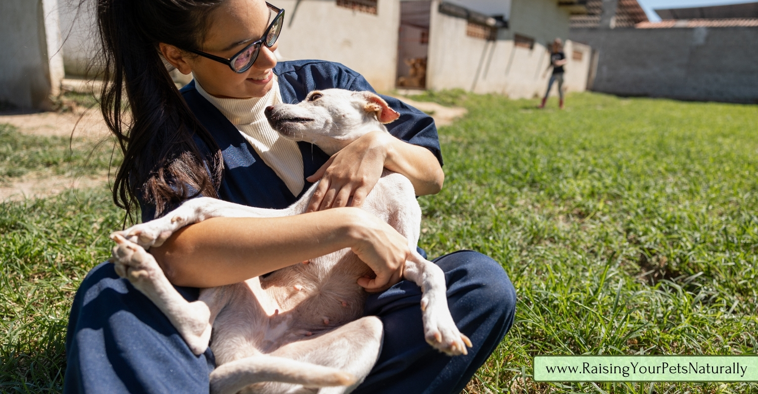 how to help a grieving pet